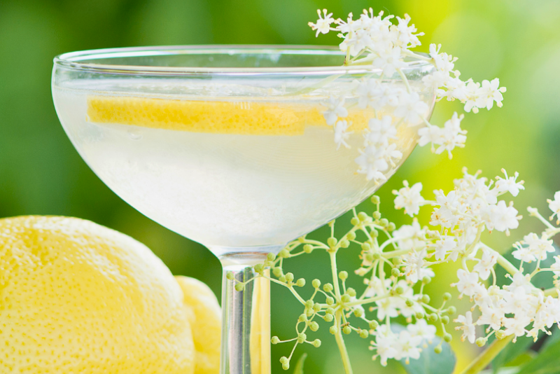 Elderflower Citrus Sparkler