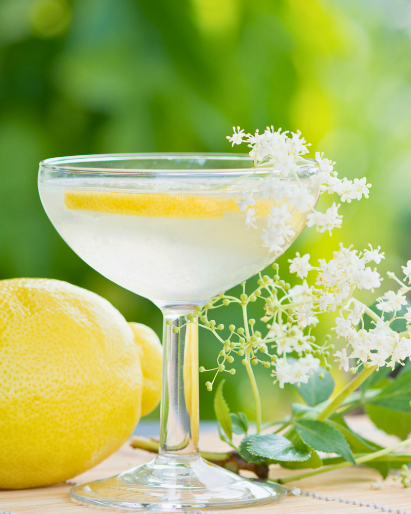 Elderflower Citrus Sparkler