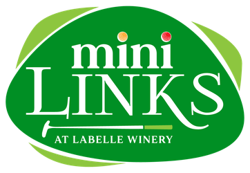 MiniLinks-Logo-Color-1024x707